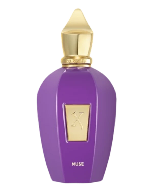 XERJOFF MUSE 100ml - ORIGINAL INHALTSSTOFF & VERPACKUNG 2024